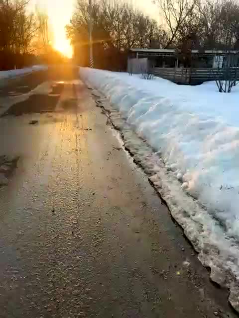 -Darinaa- Adult Chat March 20, 2026