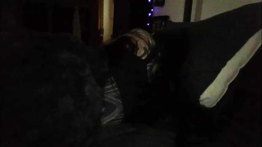 livmirage Adult Chat March 20, 2026