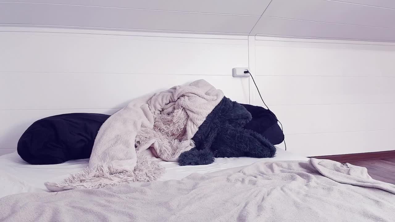 MeowRoslava Adult Chat March 20, 2026