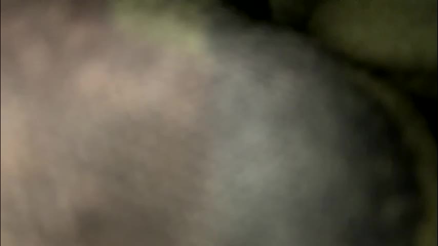 sweetnsexy95 Adult Chat March 21, 2026