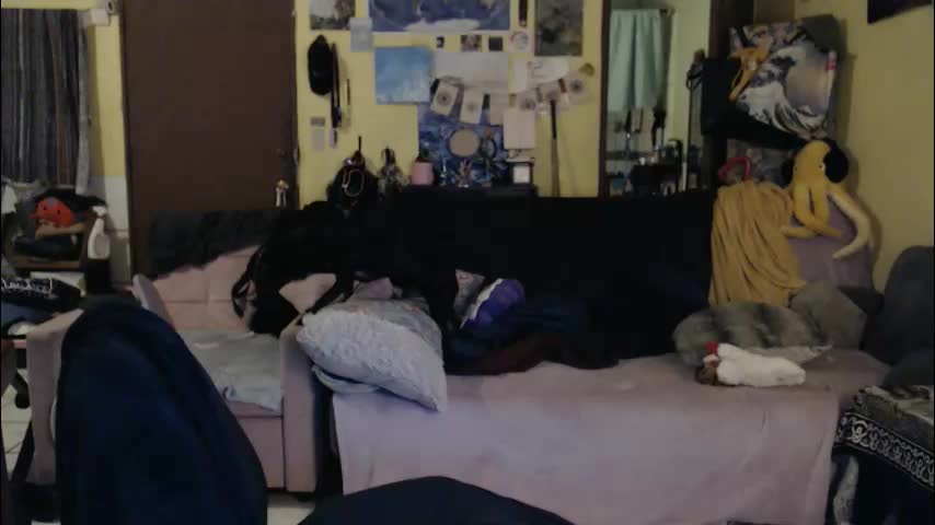 poisonivy1111 Adult Chat March 21, 2026