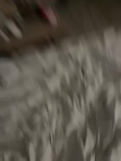 wetttt1 Adult Chat March 21, 2026