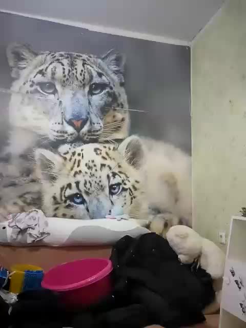 KittyTempreXXX Adult Chat March 22, 2026