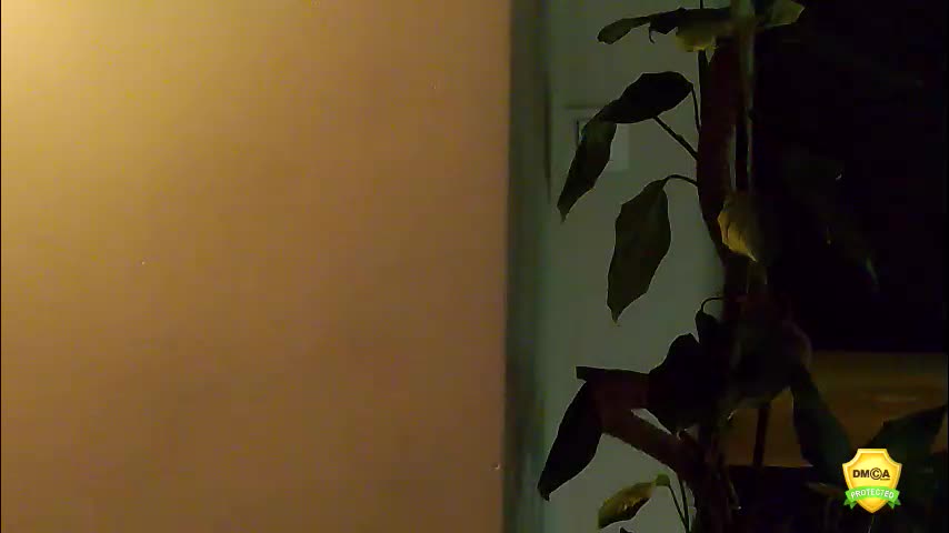 flowerr_powerr Adult Chat March 21, 2026