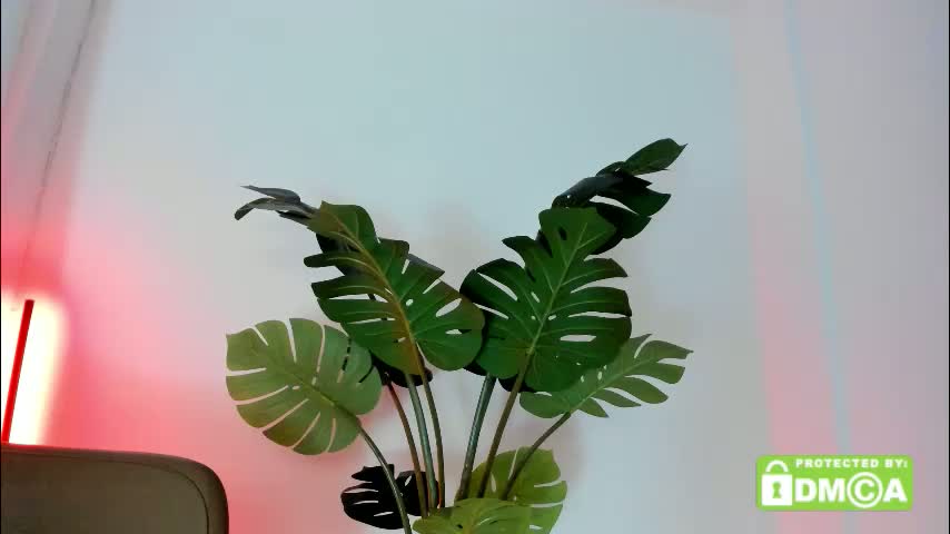 ashllovee_ Adult Chat March 21, 2026