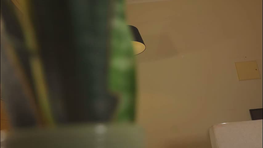 velvet_daydream Adult Chat March 21, 2026