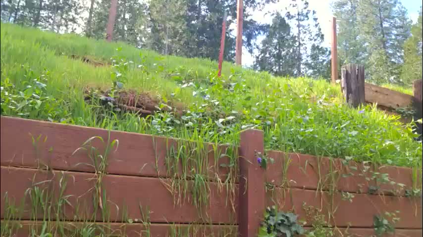 shy_college_girl Adult Chat March 22, 2026