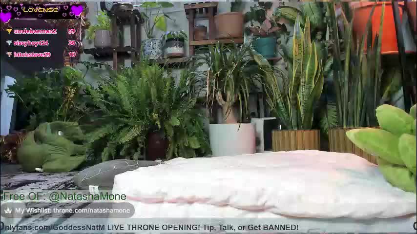 natashamone Adult Chat March 22, 2026