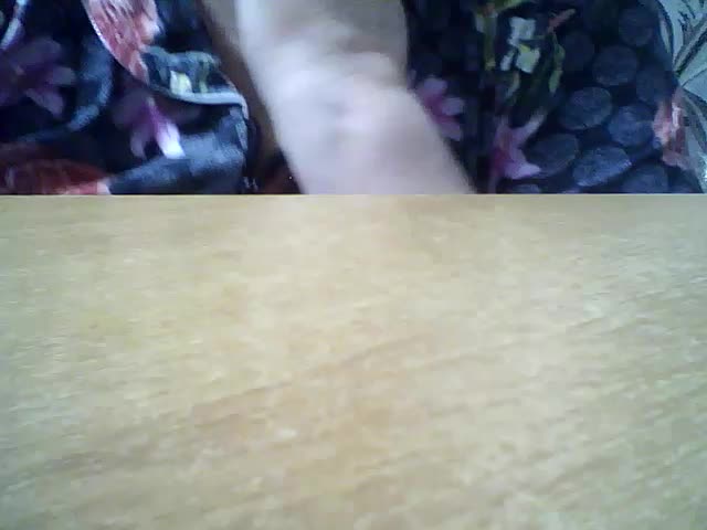 Luminara Adult Chat March 23, 2026