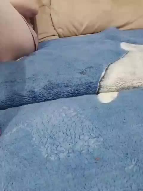 Love-para111 Adult Chat March 22, 2026