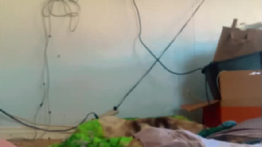 tomboy_titties Adult Chat March 23, 2026