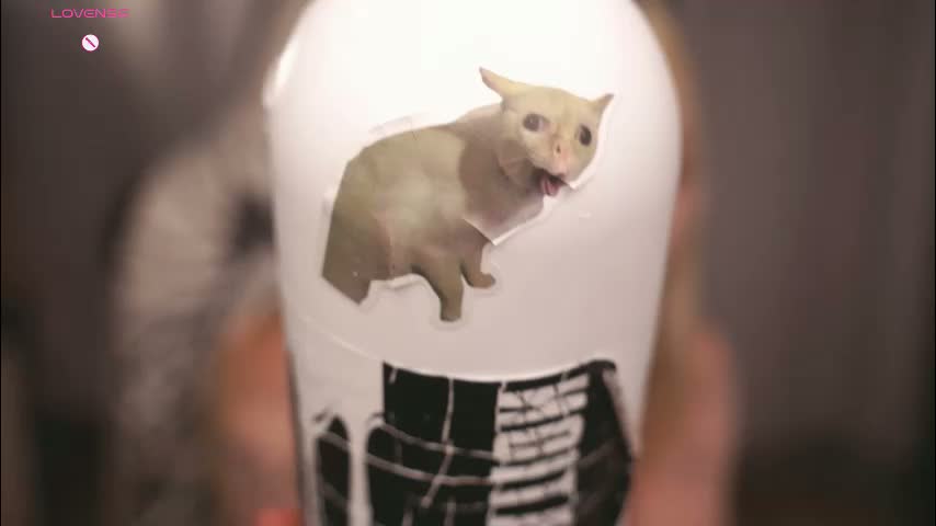 leiladwight Adult Chat March 23, 2026