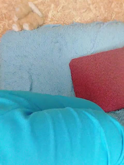 -Your_dream- Adult Chat March 23, 2026