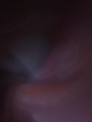 SG-310 Adult Chat March 24, 2026