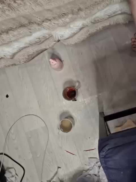 -scyrim- Adult Chat March 23, 2026