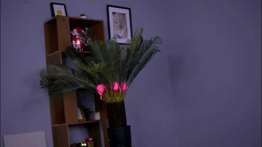 skylerlune Adult Chat March 24, 2026