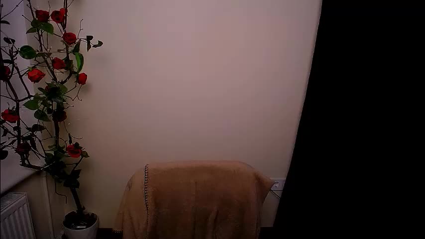 bunnybloom_ Adult Chat March 24, 2026