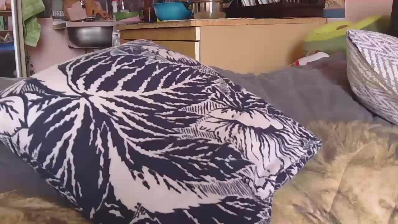 Ornotores_wers Adult Chat March 24, 2026