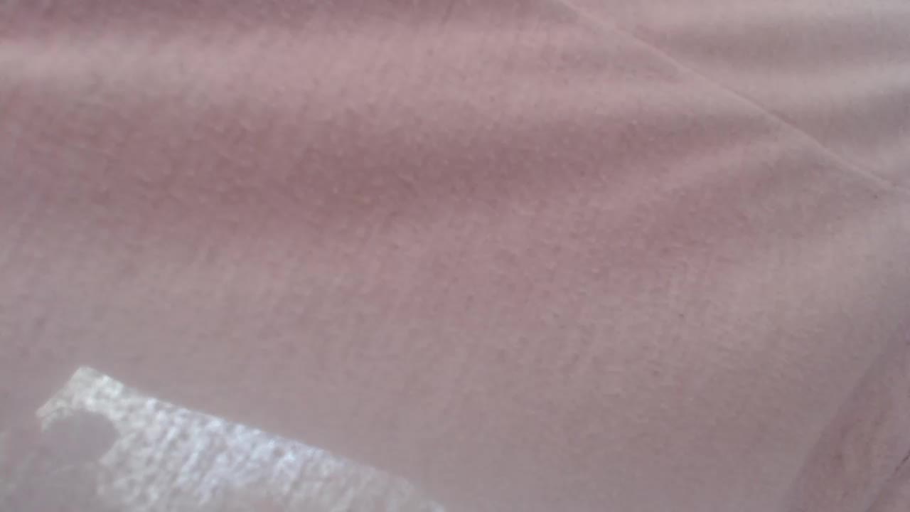 Veta-Viola Adult Chat March 24, 2026