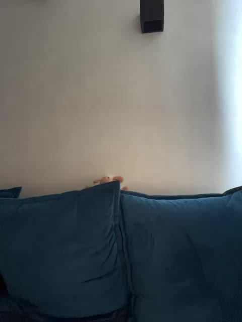 WILDGIRL Adult Chat March 24, 2026