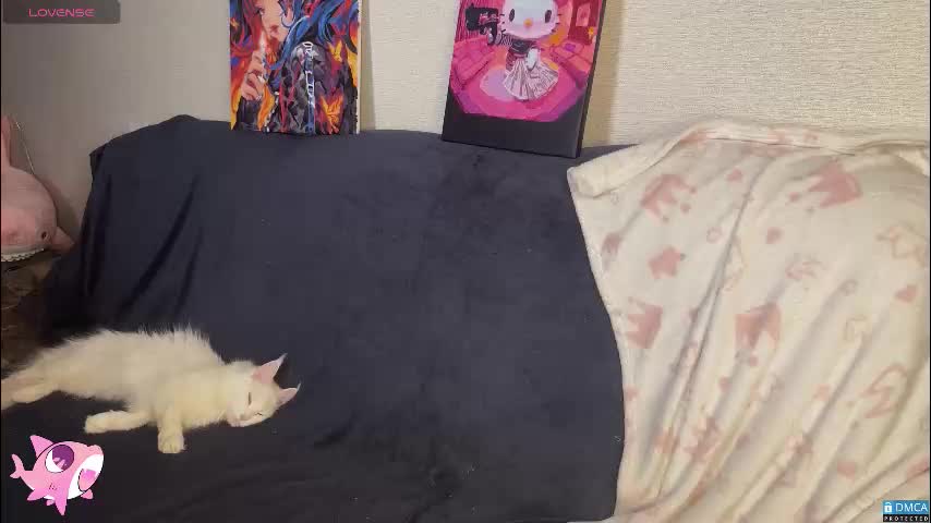 silkyfin Adult Chat March 24, 2026