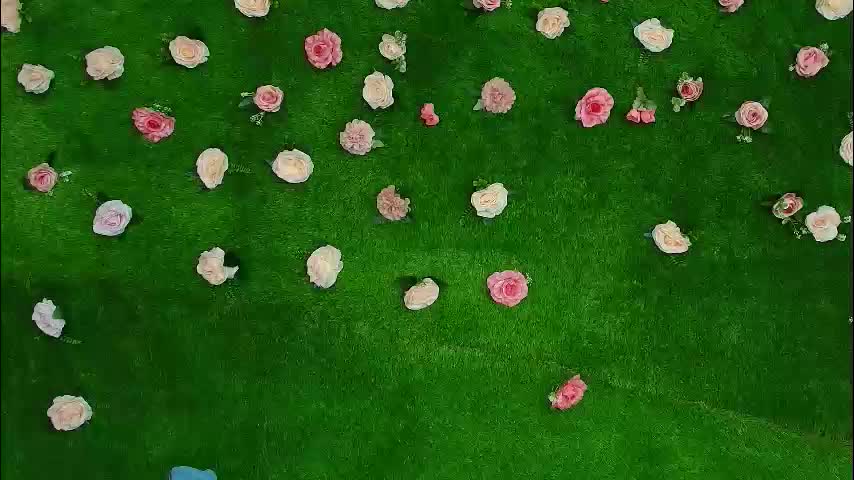 megatitts_ Adult Chat March 25, 2026