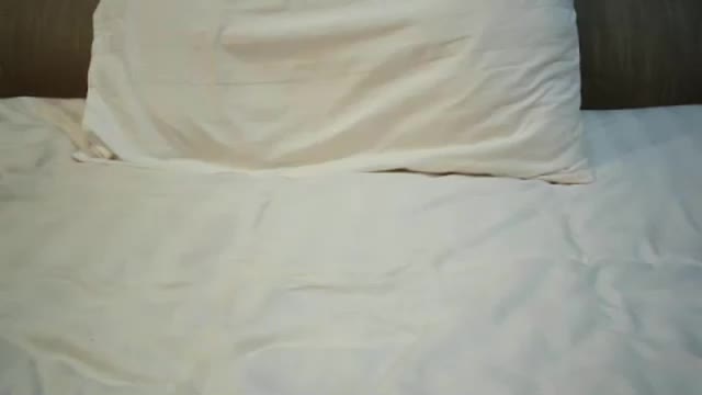 jasmin6501 Adult Chat March 24, 2026