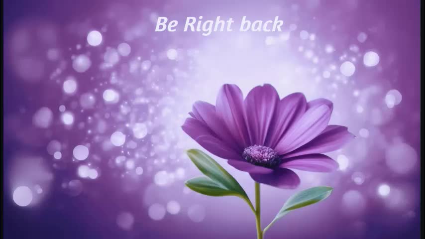 mylegsonheels Adult Chat March 24, 2026