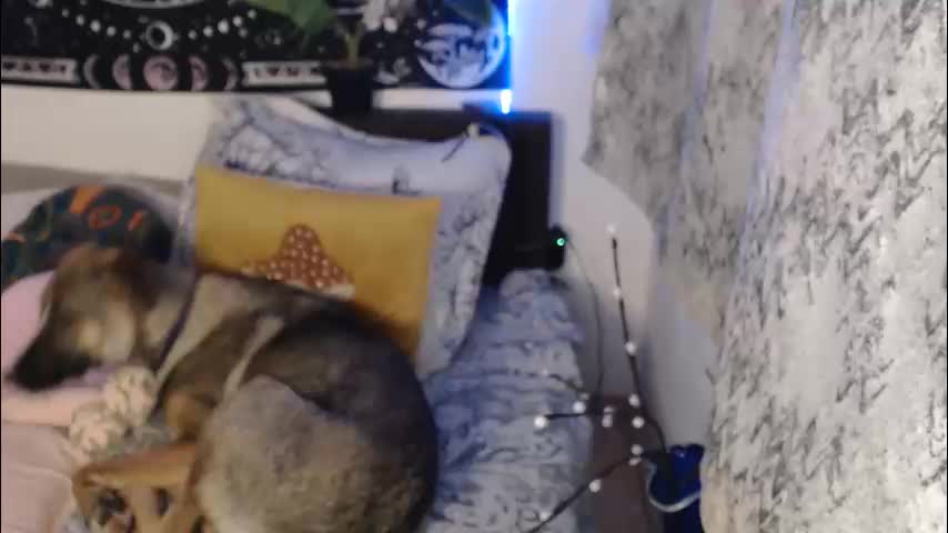 aliens4twenty Adult Chat March 25, 2026