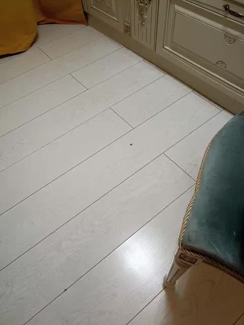 GTQET Adult Chat March 25, 2026