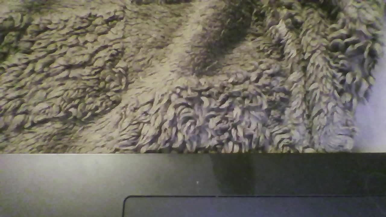 pararam124 Adult Chat March 25, 2026