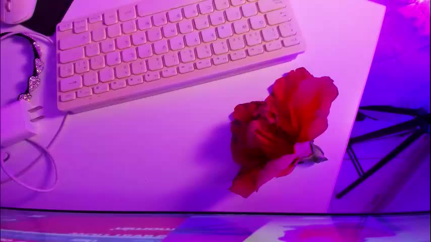 roxanedewalle Adult Chat March 25, 2026