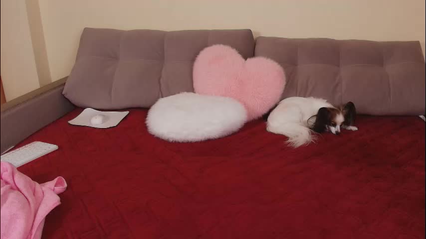 magic_touch_ Adult Chat March 25, 2026