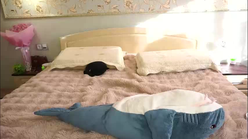 meghanantell Adult Chat March 26, 2026