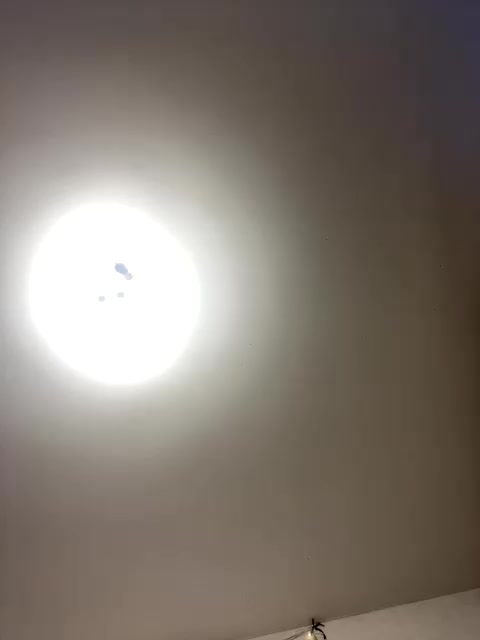 Oyster-lemon Adult Chat March 26, 2026