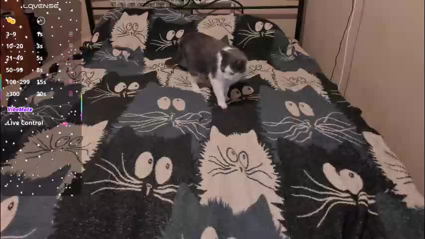 eva_zero Adult Chat March 26, 2026