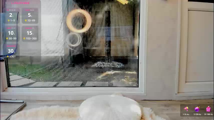 naila18 Adult Chat March 25, 2026