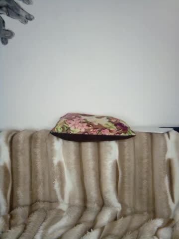 KiraBerht Adult Chat March 26, 2026