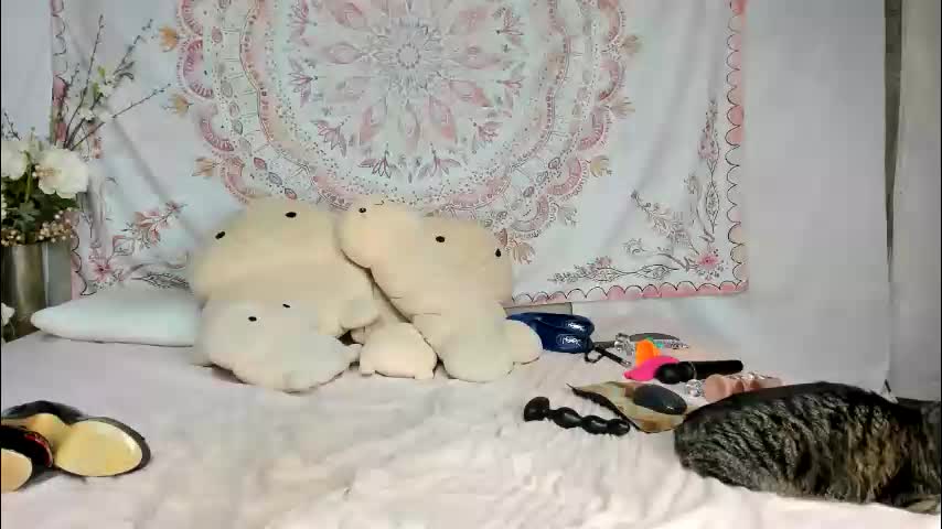 fit_american_girl Adult Chat March 26, 2026