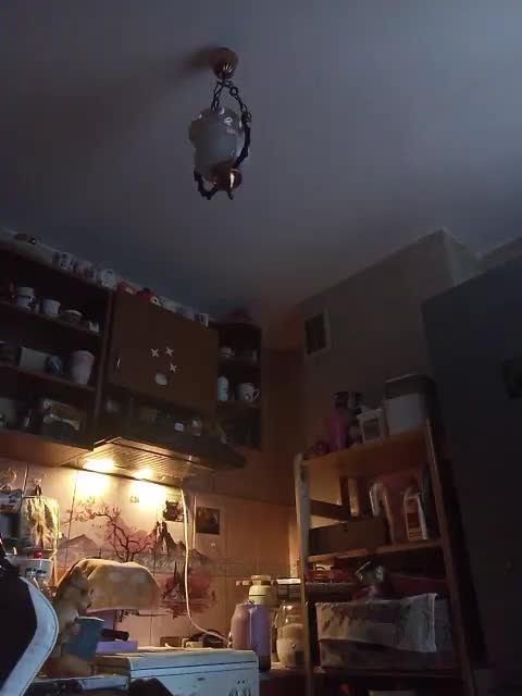 Tignari2000 Adult Chat March 27, 2026