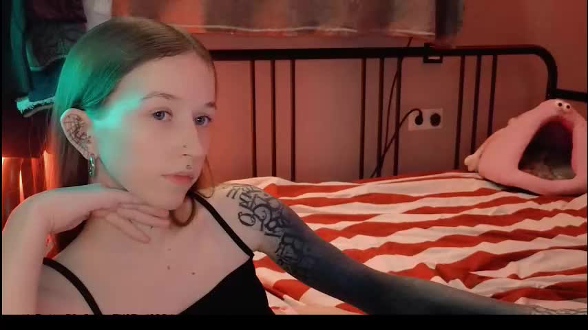 fran_bow Adult Chat March 27, 2026