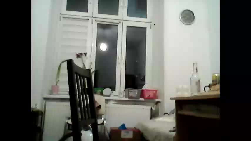 animus987 Adult Chat March 27, 2026