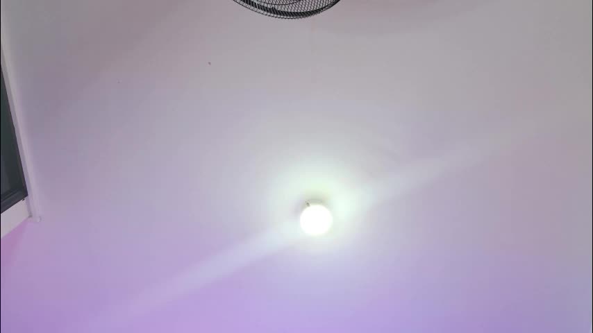 dafne17_ Adult Chat March 27, 2026