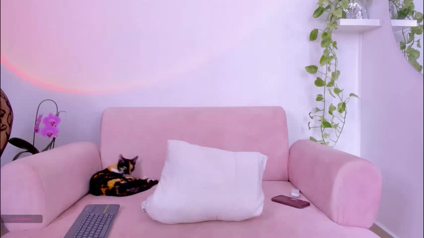 catbaby888_ Adult Chat March 27, 2026
