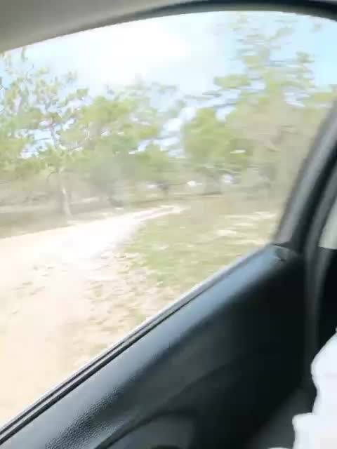 ___Pypsiki___ Adult Chat March 27, 2026