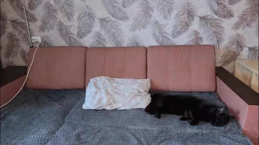 goddesssooul Adult Chat March 28, 2026