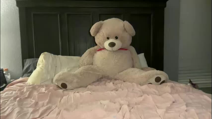 mollyxxxmoon Adult Chat March 28, 2026