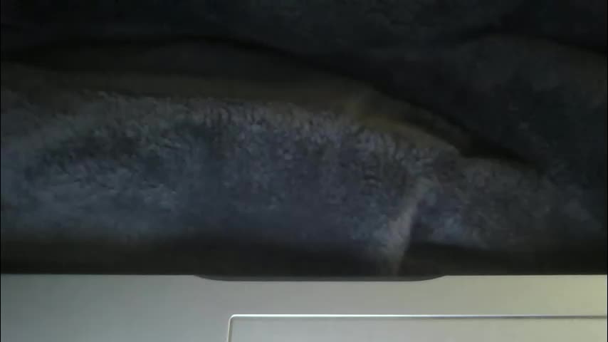 the_borderlands Adult Chat March 28, 2026