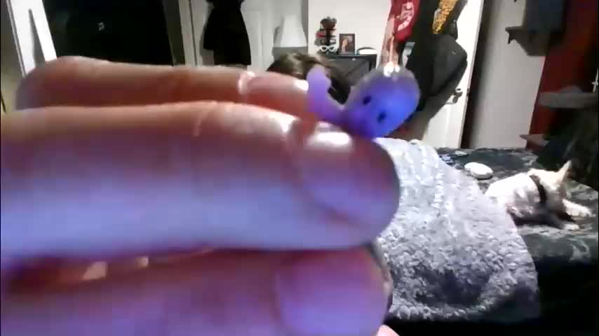 missmonatoyou Adult Chat March 28, 2026