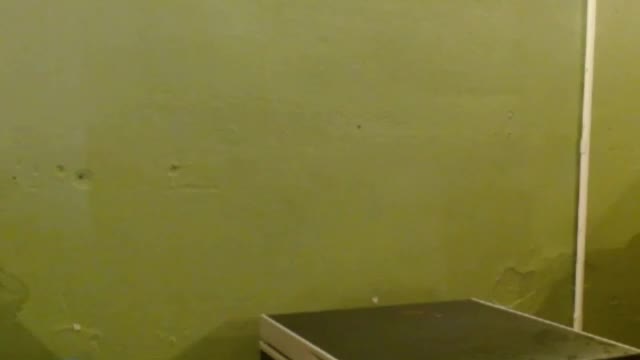 ames9001 Adult Chat March 31, 2026